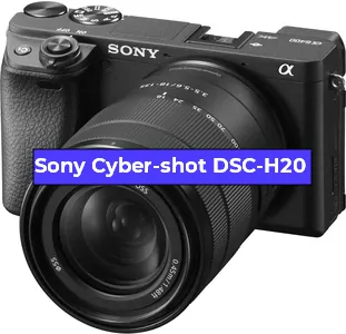Ремонт фотоаппарата Sony Cyber-shot DSC-H20 в Челябинске